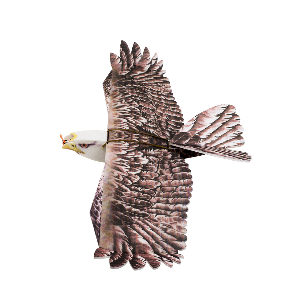 Rc Hobby Online - DW Hobby Eagle II EPP Aereo