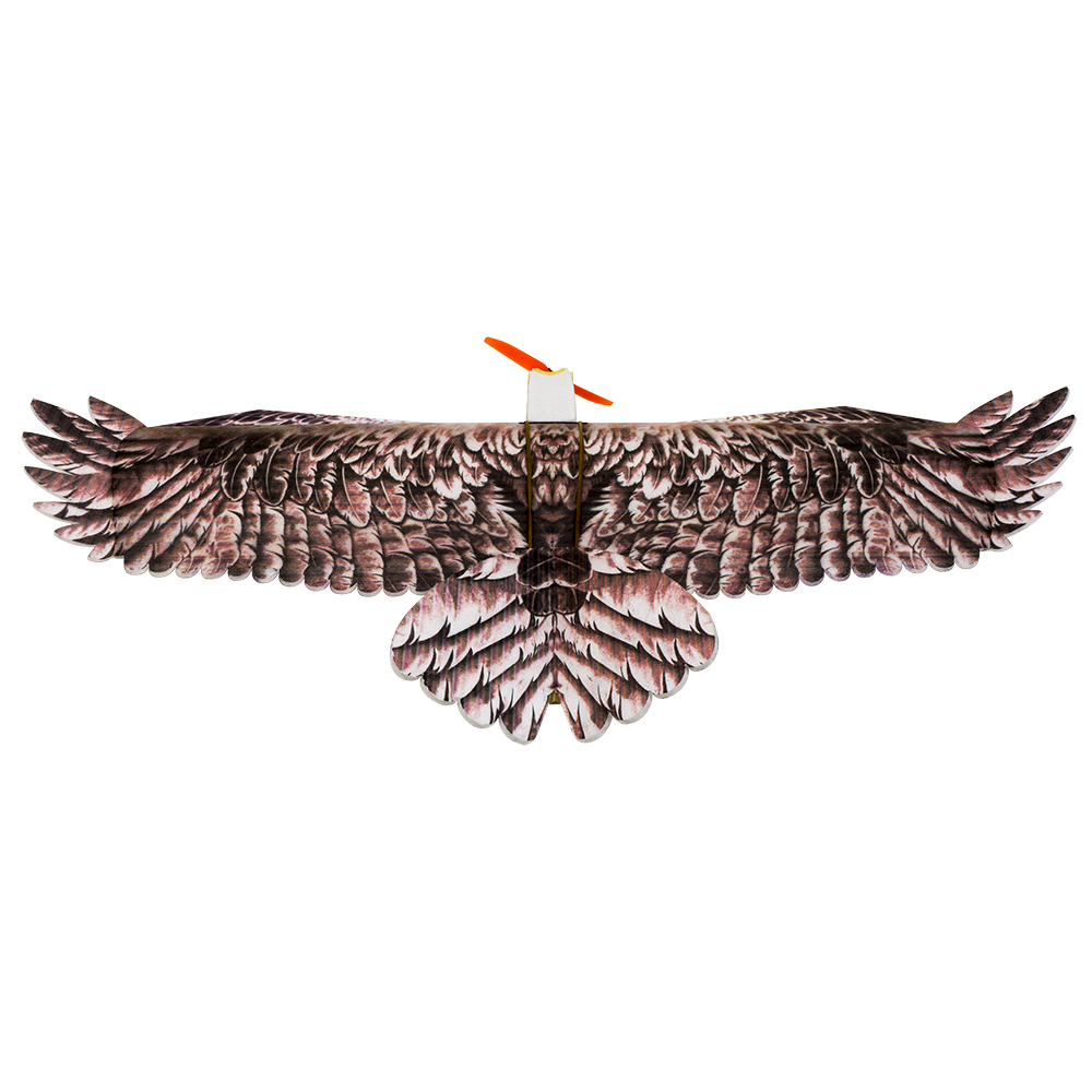 DW Hobby Eagle II EPP Aereo RC - Rc Hobby Online recensione e prezzo